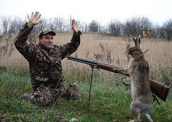 16. Раз, два, три, четыре, пять, вышел зайчик погулять!