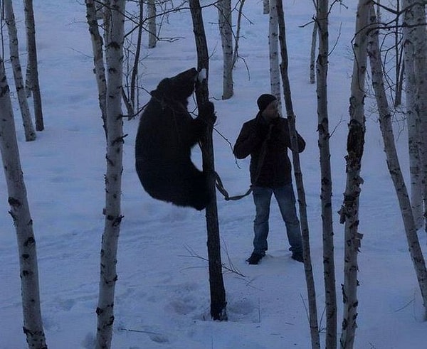 28. Когда решил выгулять своего питомца...