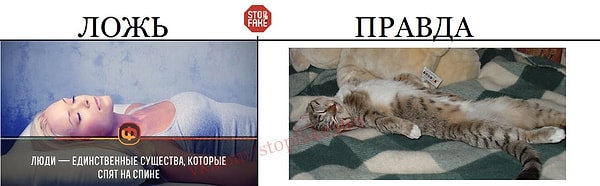 3. Факты об уникальности кого-то/чего-то скорее выдумки, чем правда