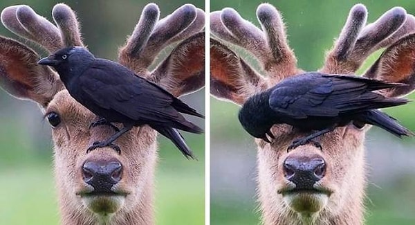 3. Что значит тебе неудобно?