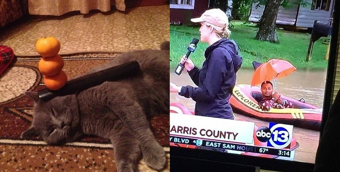 Подборка примеров здорового (и не очень) пофигизма