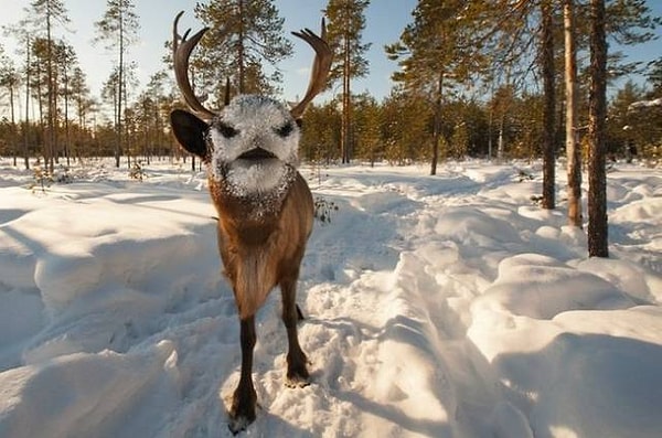 3. Если честно, я так толком и не разобралась, что же изображено на этом фото. Может, у вас получится?