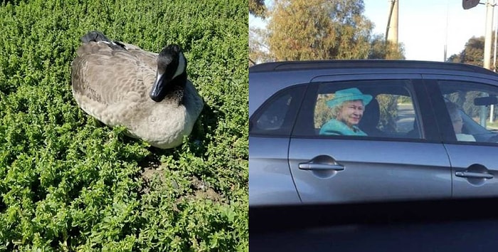 Все еще доверяете своим глазам? Фото, на которые нужно взглянуть не один раз, чтобы в них разобраться