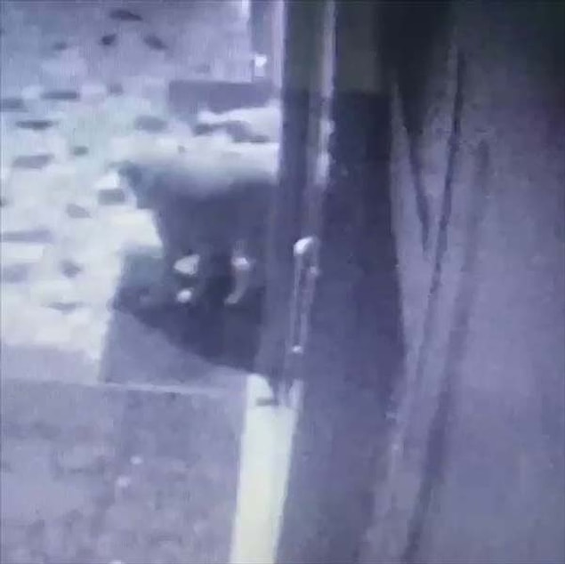 Saldırganın kimliği olaydan bir hafta sonra tespit edildi.