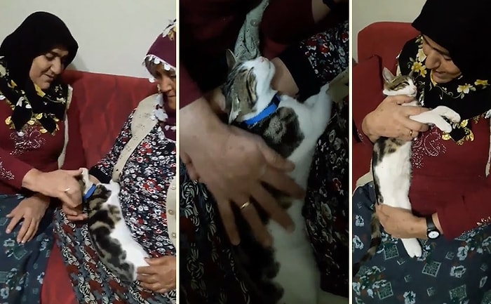 Kediyi Sevgi Yumağı Haline Getiren Teyzelerin Tekrar Tekrar İzleyeceğiniz Muhteşem Anları