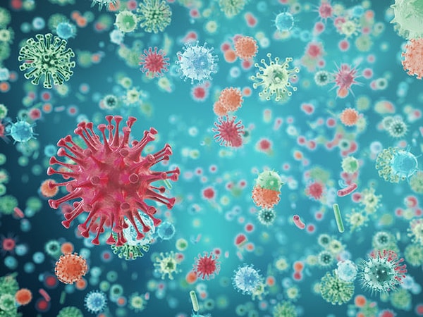 5. Что вызывает простуду?