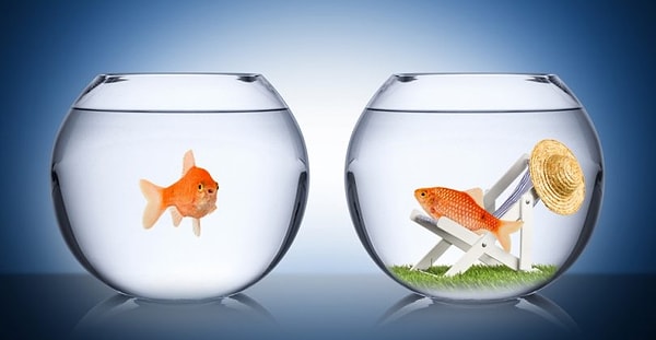 10. И наконец: что из этого вы бы выбрали?