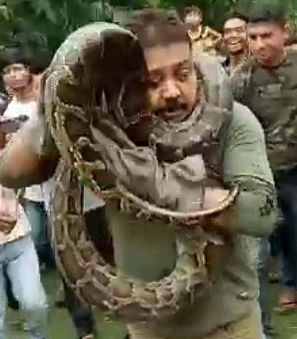 Korucu sürüngeni omuzlarına aldıktan sonra yılan yılanların yaptığı şeyi yapıp adamı sıkmaya başladı ve kendini Dutta'nın boynuna dolayarak onu boğmaya çalıştı.