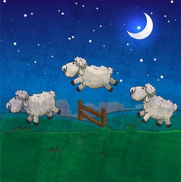 15. Bilim adamlarına göre, koyun saymak uyku getiren bir eylem değil.