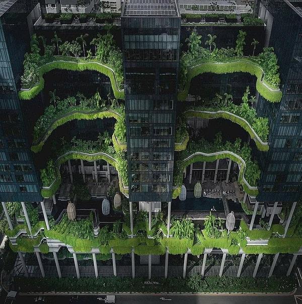 13. Singapur'da bir yeşil bina!