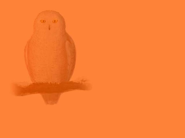 Показать правильный ответ: