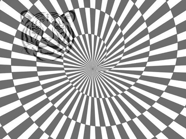 Показать правильный ответ: