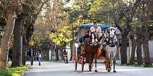 Hayvan Hakları Kazandı: Adalarda Fayton Yerine Elektrikli Araçlar Kullanılacak