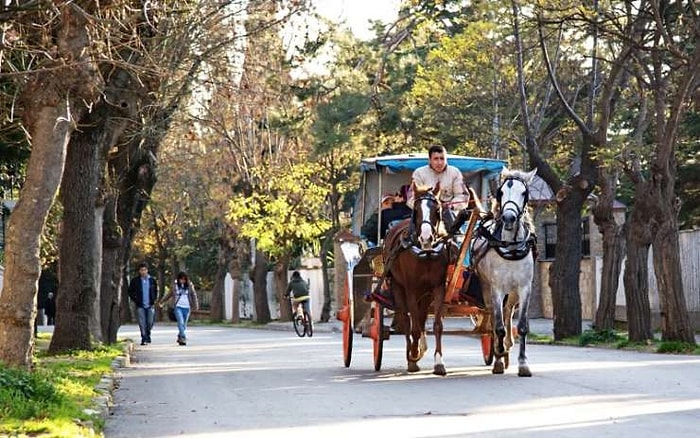 Hayvan Hakları Kazandı: Adalarda Fayton Yerine Elektrikli Araçlar Kullanılacak