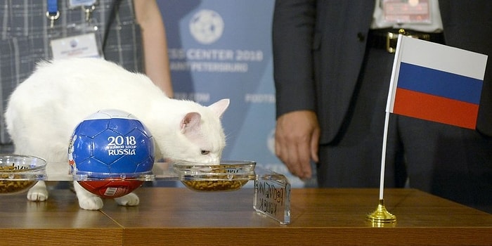 Светлая память осьминогу Паулю! Встречайте нового предсказателя результатов Чемпионата мира по футболу 2018!