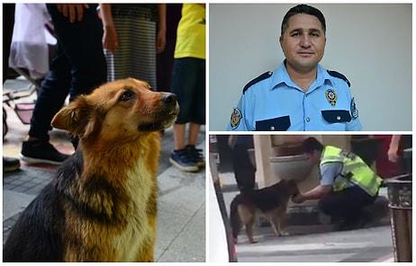 Elleriyle Sokak Köpeğine Su İçiren Polis Memuru Seyit Kurtulmuş: 'Herkes Benim Yaptığımı Yapar'