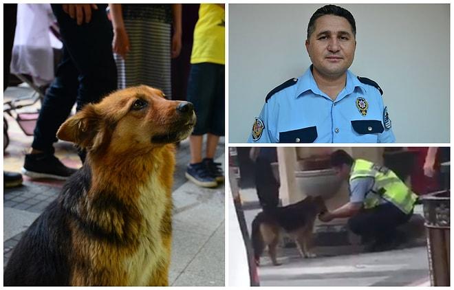 Elleriyle Sokak Köpeğine Su İçiren Polis Memuru Seyit Kurtulmuş: 'Herkes Benim Yaptığımı Yapar'