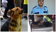 Elleriyle Sokak Köpeğine Su İçiren Polis Memuru Seyit Kurtulmuş: 'Herkes Benim Yaptığımı Yapar'
