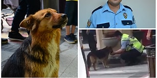 Elleriyle Sokak Köpeğine Su İçiren Polis Memuru Seyit Kurtulmuş: 'Herkes Benim Yaptığımı Yapar'