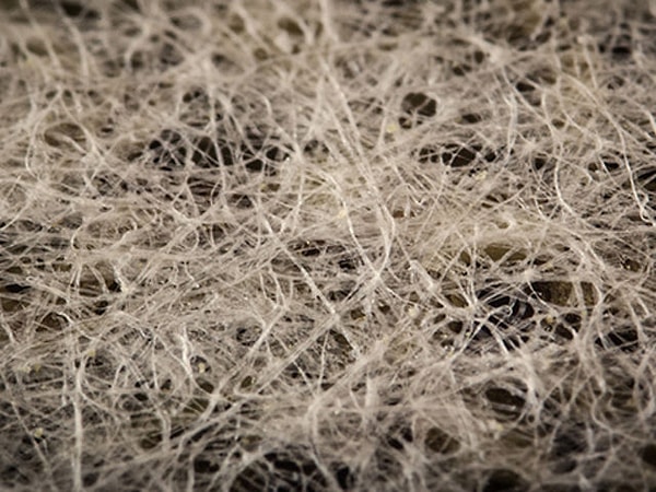 10. Что здесь изображено?