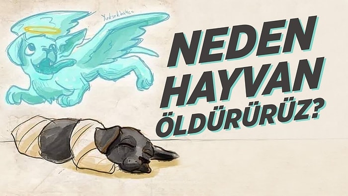 İnsan Neden Hayvanları Öldürür veya İşkence Eder?