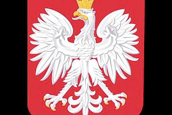 7. А этот логотип с белым орлом?