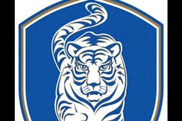 16. У какой команды глаз тигра?