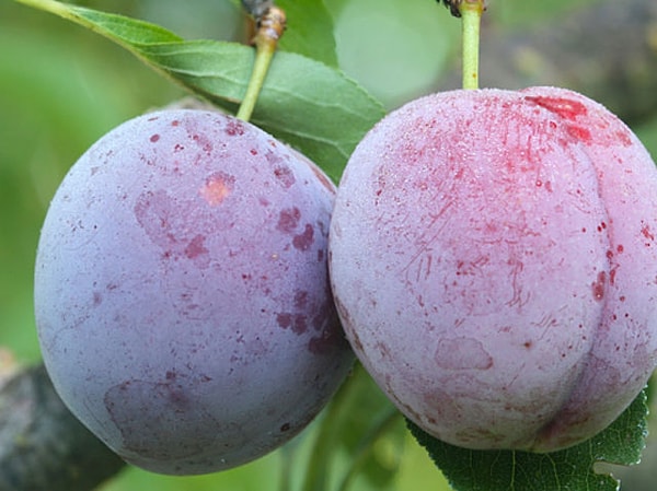 7. Как вы себя чувствуете, когда сидите?