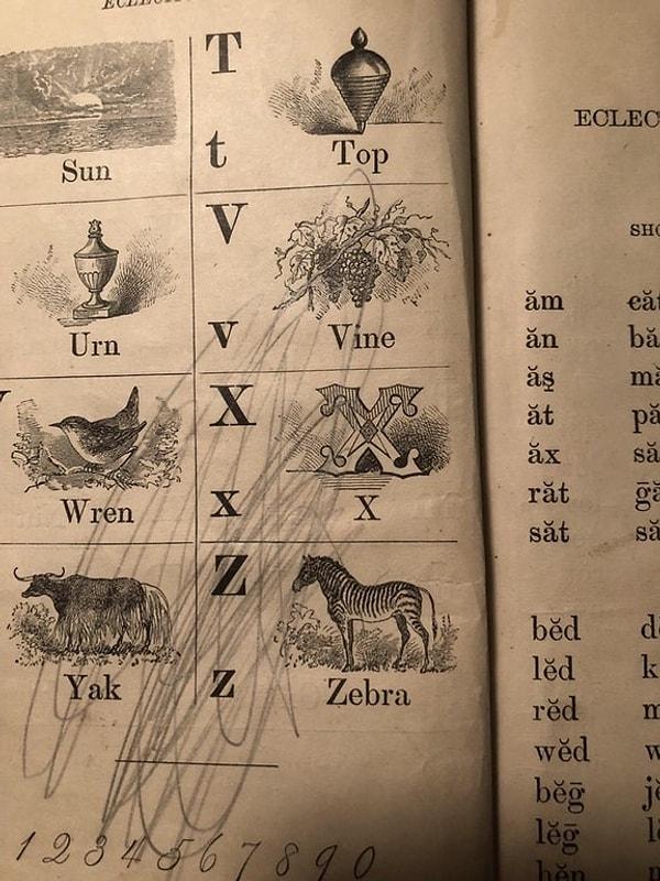 5. 1898 yılındaki İngilizce okuma-yazma kitabında X harfi için bir örnek kelime bulunmuyor.