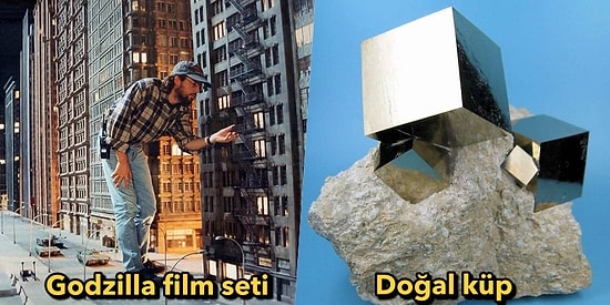 Son Günlerde İnternet Âlemini Ele Geçiren Bu 18 Görüntünün Sıradaki Hedefi Sizsiniz!