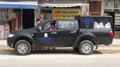 Adanada dört ayağı kesilmiş kedi bulundu 79