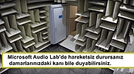Dünyaya Karşı Algınızı Açıp Beyninize Su Gibi Gelecek 16 İlginç Bilgi