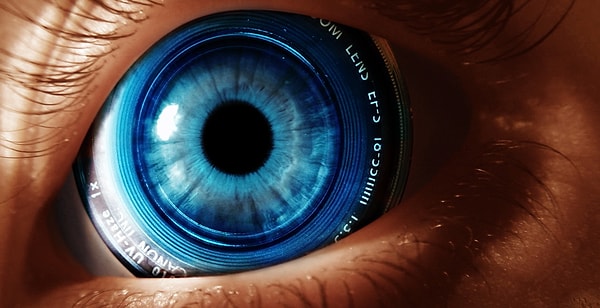 Браво! У вас определенно отлично развита визуальная память!