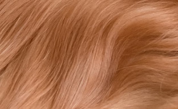 8. Кто это у нас такой рыженький? :)