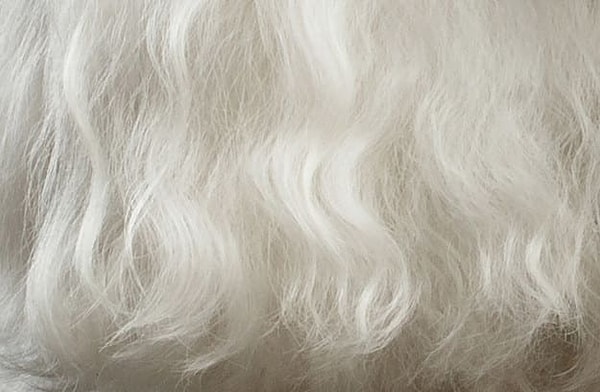 13. Кто хозяин этих воздушных кудрей?