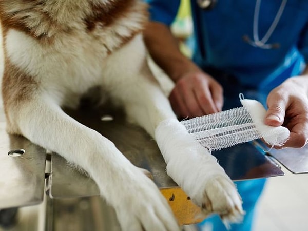 8. Что нужно сделать в первую очередь при электрическом ожоге?