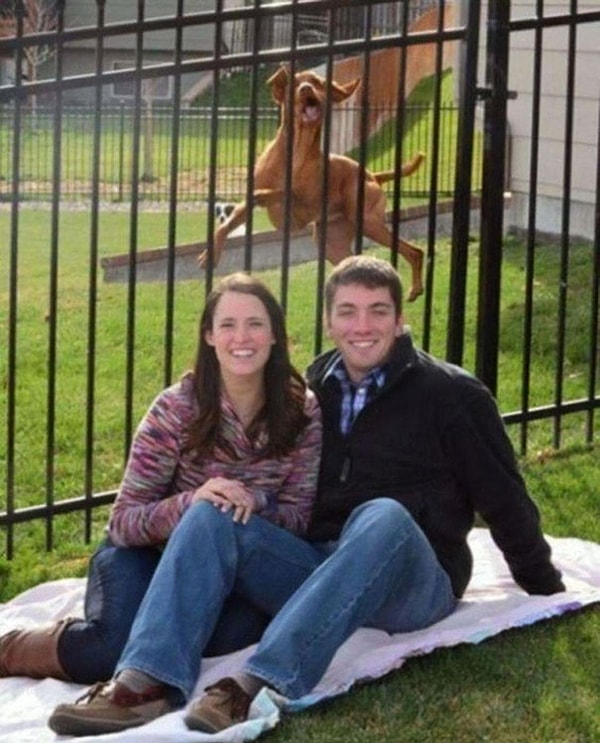 14. Милое семейное фото