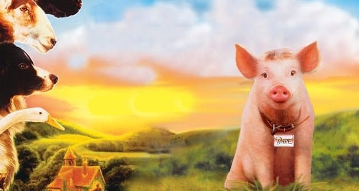 Тест: если бы вы родились на ферме, то какой зверюшкой стали бы?