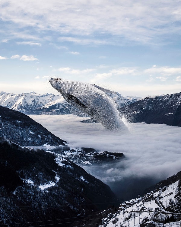 3. Туманный кит.