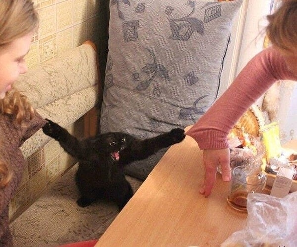 9. "Всех порву!"