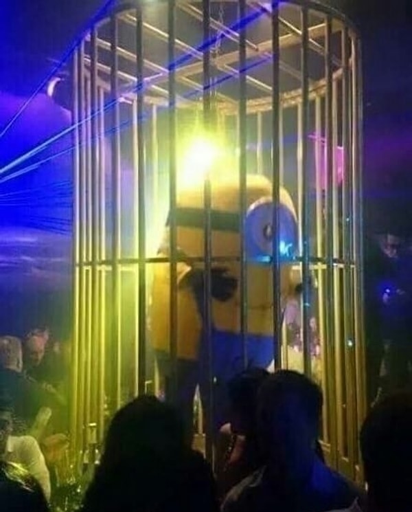 12. Как такое могло произойти?