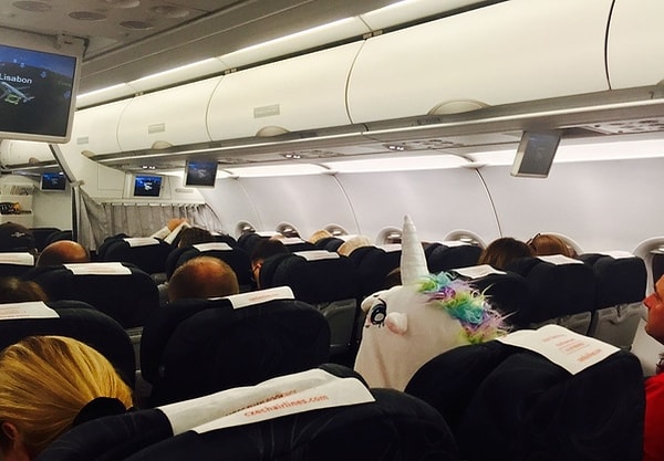 16. Жаль, что не дали бизнес-класс единорогу!