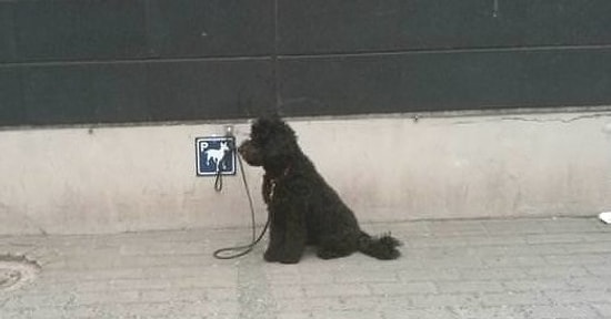 Удобные вещи, которые доказывают, что Финляндия - страна, где многие хотели бы жить