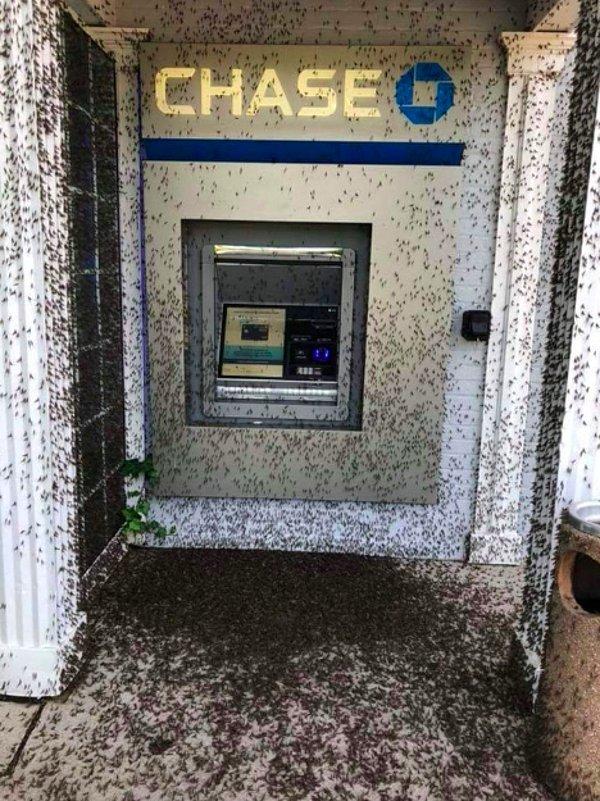 12. Çok acil para çekmeniz gerekiyor ama bulabildiğiniz tek ATM burası. Gerçekten o parayı çeker misiniz?