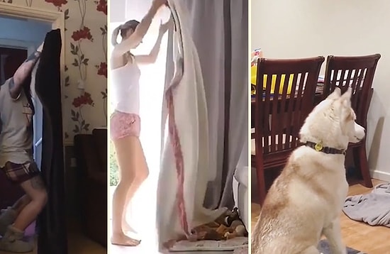 Yaptıkları Kaybolma Numaralarıyla Hayvan Dostlarının Beynini Yakan İnsanlar