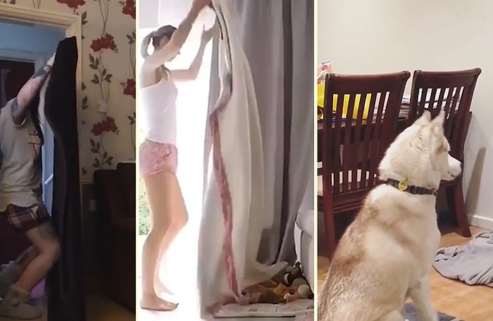 Yaptıkları Kaybolma Numaralarıyla Hayvan Dostlarının Beynini Yakan İnsanlar