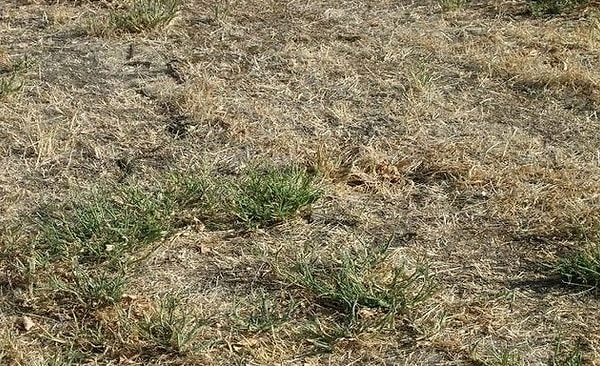 3. Кто здесь?