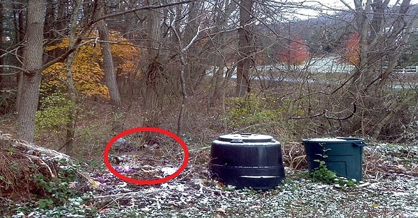 Посмотреть ответ: