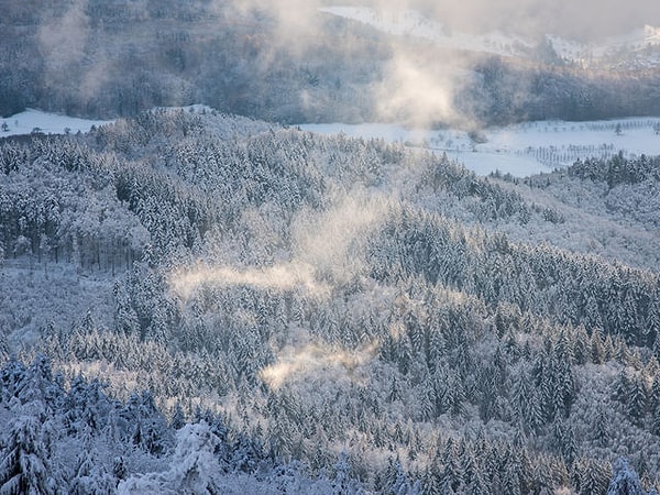 6. Где простирается этот таинственный "Черный лес"?