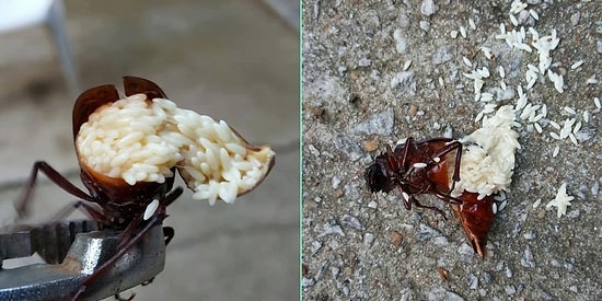 Фотографии, которые заставят вас взглянуть на природу иначе!